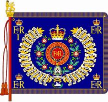 Image result for Regimental Colour Flag