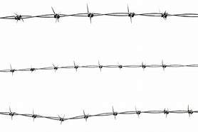 Image result for Barbed Wire Pattern