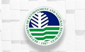 Image result for DENR Logo Vector