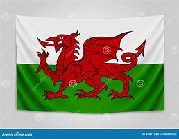 Image result for Welsh National Flag