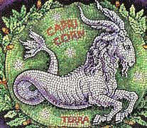 Image result for Capricorn Astrology