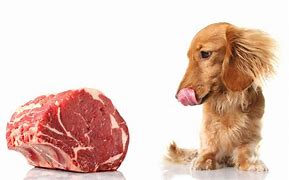 Image result for Dog Meat