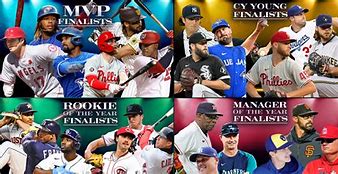 Image result for MLB Awards