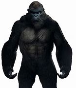 Image result for King Kong Design