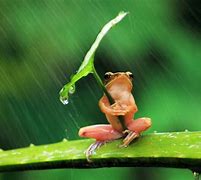 Image result for Wallpaper 3840X1080 4K Rain