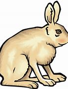 Image result for Clip Art Free Hare