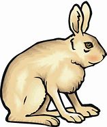 Image result for March Hare Clip Art