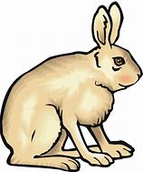 Image result for Disinterested Hare Clip Art