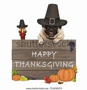 Image result for Sharable Pug Thanksgiving