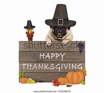 Image result for Thanksgiving Puglie Pug