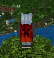 Image result for Minecraft Cape Maker