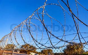 Image result for Barbed Wire Fence