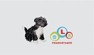 Image result for SLR Productions