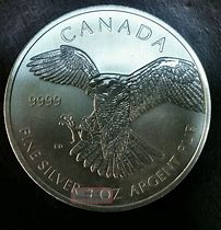 Image result for Canadian Birds of Prey