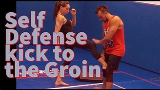 Image result for Karate Groin Kick