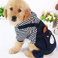 Image result for Clothes for Dogs Product