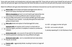 Image result for Dividing Cell and Non-Dividing Cells