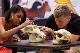 Image result for Anthropology Images