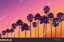 Image result for La Sunset