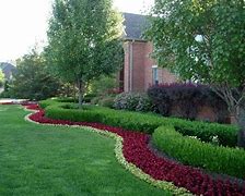 Image result for Landscaping with Boxwood Shrubs