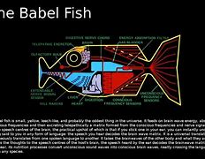 Image result for Promlate Fish