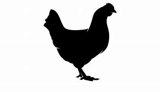 Image result for Chicken Silhouette