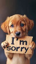 Image result for Sorry Sricker