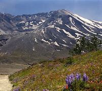 Image result for Mount St. Helens Hiking Map