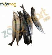 Image result for Smoked Mackerel Titus Fish