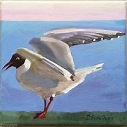 Image result for Seagull Paintings