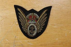 Image result for Fleet Air Arm Observer Badge