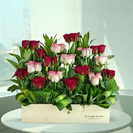 Image result for Christmas Pink and Red Rose Arrangement