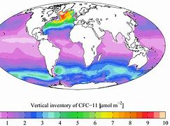 Image result for Ban On CFC