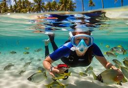 Image result for Snorkel in the Sea