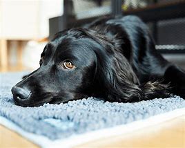 Image result for Wooden Pet Mat