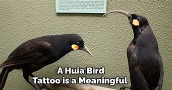 Image result for Huia Tattoo