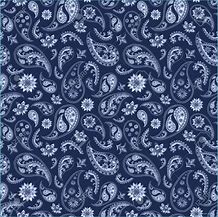 Image result for Blue Paisley Print