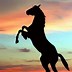 Image result for Unique Silhouette Art