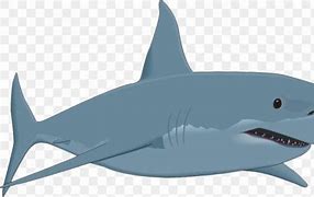 Image result for Bull Shark Clip Art