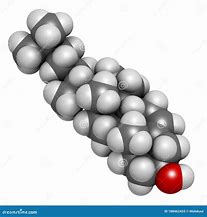 Image result for Cholesterol Molecule with Hydrogen