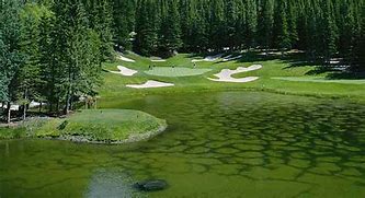 Image result for Banff Golf Course Club House