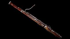 Bassoon | Philharmonia