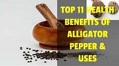 Top 11 Health Benefits Of Alligator Pepper & Uses