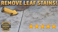 Remove Concrete Leaf Stains!