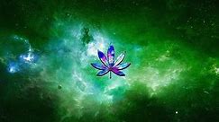 Weed Lovers Live Wallpaper