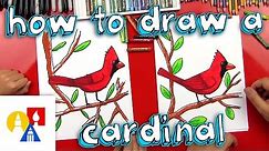 How To Draw A Cardinal