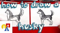 How To Draw A Husky