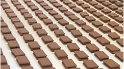 Tim Tam Factory Production | Behind the Scenes