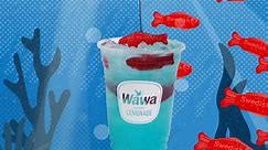 Wawa - The perfect catch 🎣