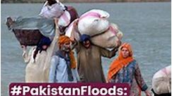 #PakistanFloods: 'Humanitarian disaster of epic proportions'